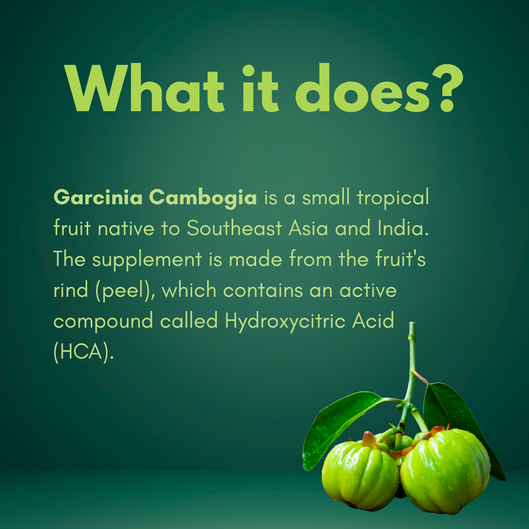 iCure Moringa thumbnail 4