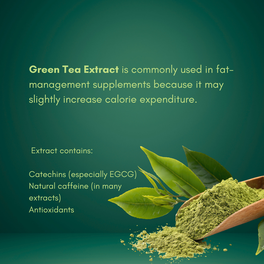 Garcinia Cambogia thumbnail 4