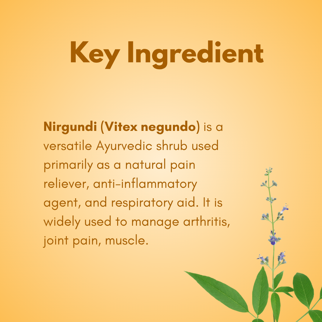 iCure Joints Care- Boswellia Extract thumbnail 4